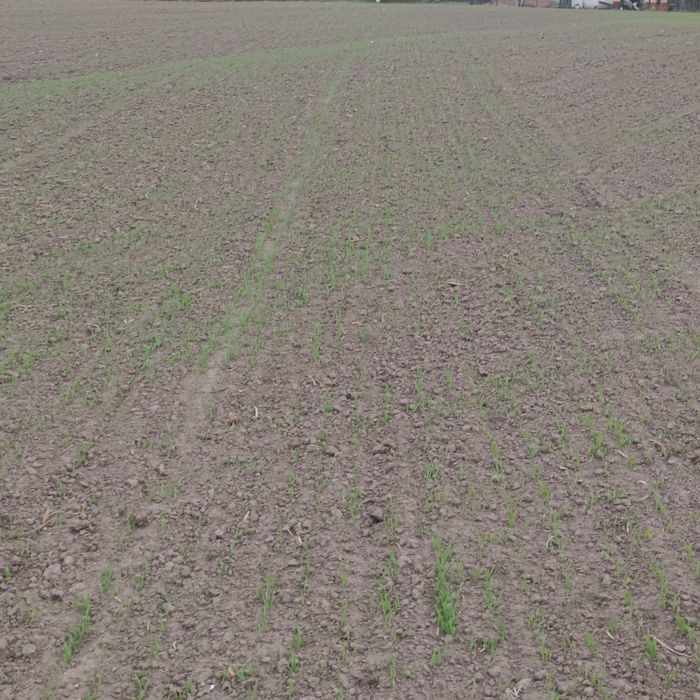 Сівалка юко 2.5м