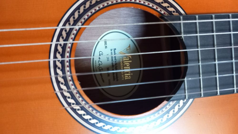 Guitarra  com saco
