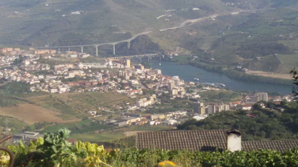 Douro – Vineyard property and house with wine cellar
