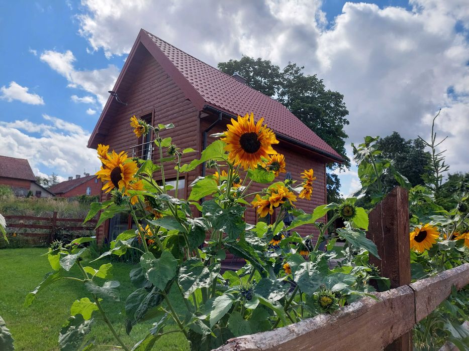 Domek "Cztery Klony" na Mazurach z sauną i jacuzzi.