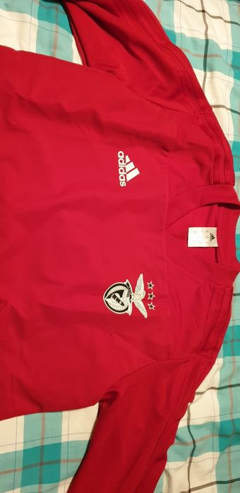 Camisola treino benfica