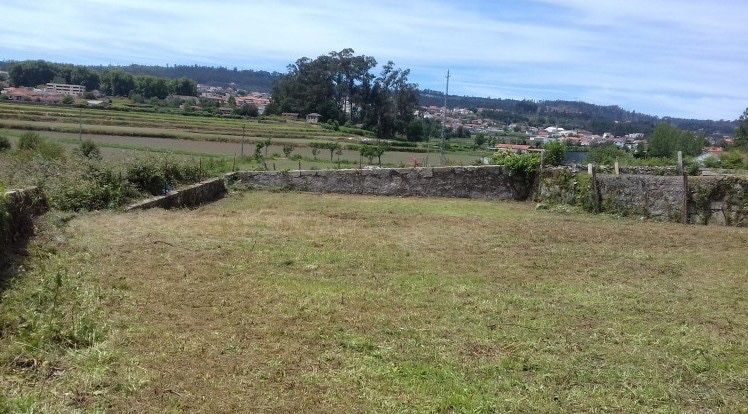 Limpeza/Manutenção de terrenos