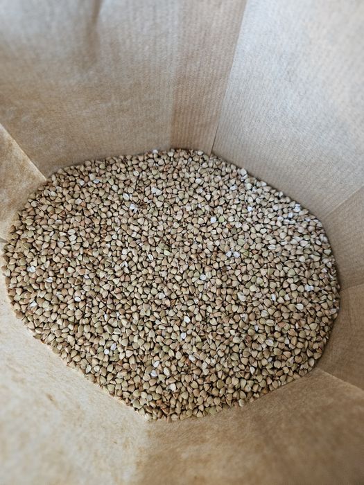 Kasza gryczana biała, niepalona, ekologiczna 4kg