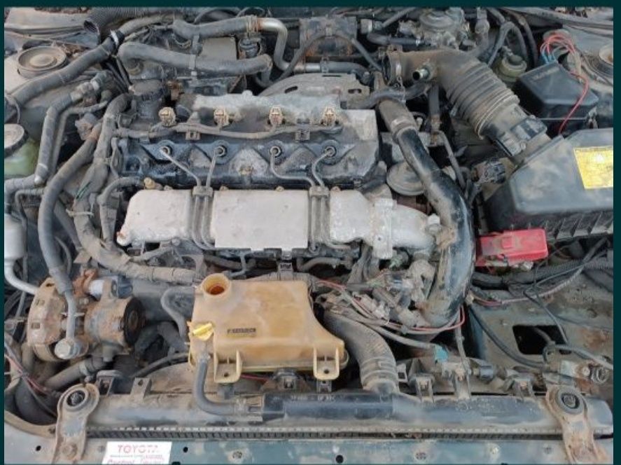 Картоплекопалка,навісне знаряддя до трактора