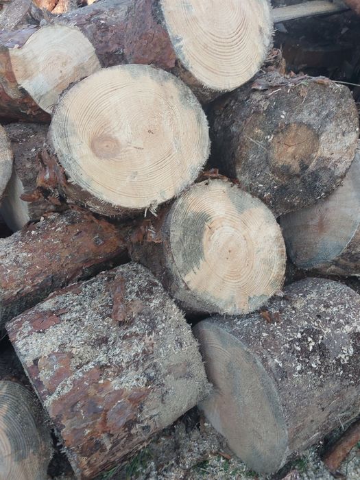 Drewno grube klocki