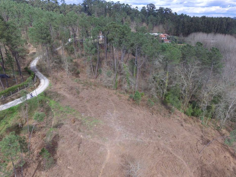 Vende-se Quinta com 7 hectares com localização privilegiada.