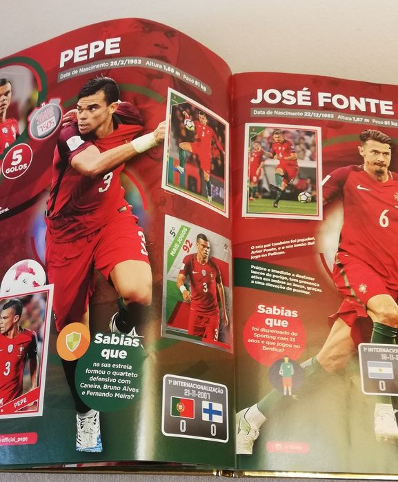 Caderneta completa seleção nacional