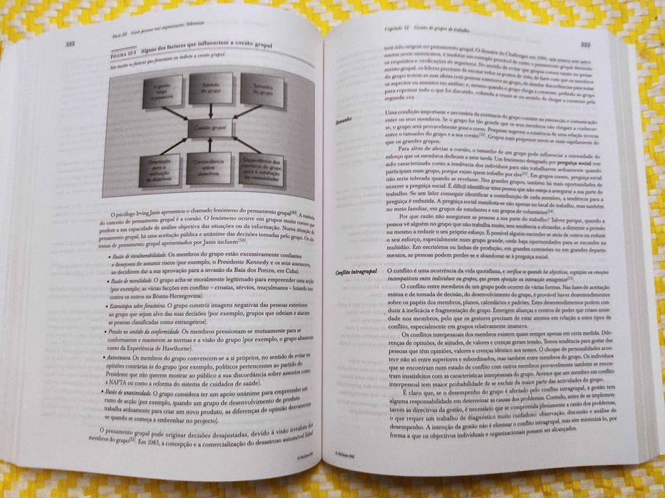 ADMINISTRAÇÃO - Princípios de Gestão Empresarial