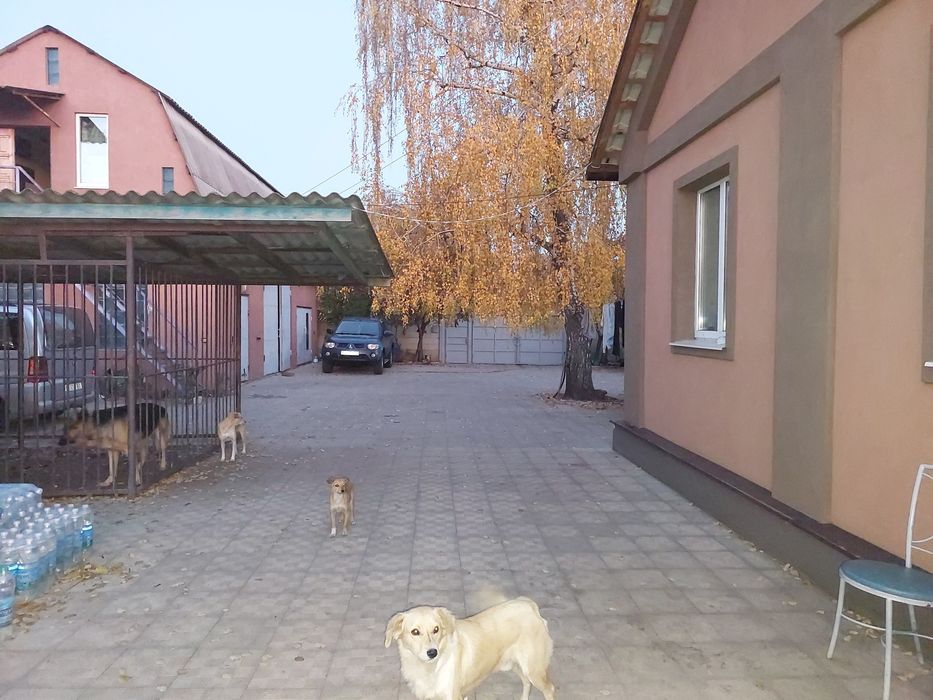 Продам дом в Солоницевском Отг (станцыя Пересечное)