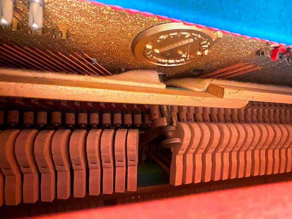 Pianino CALISIA.