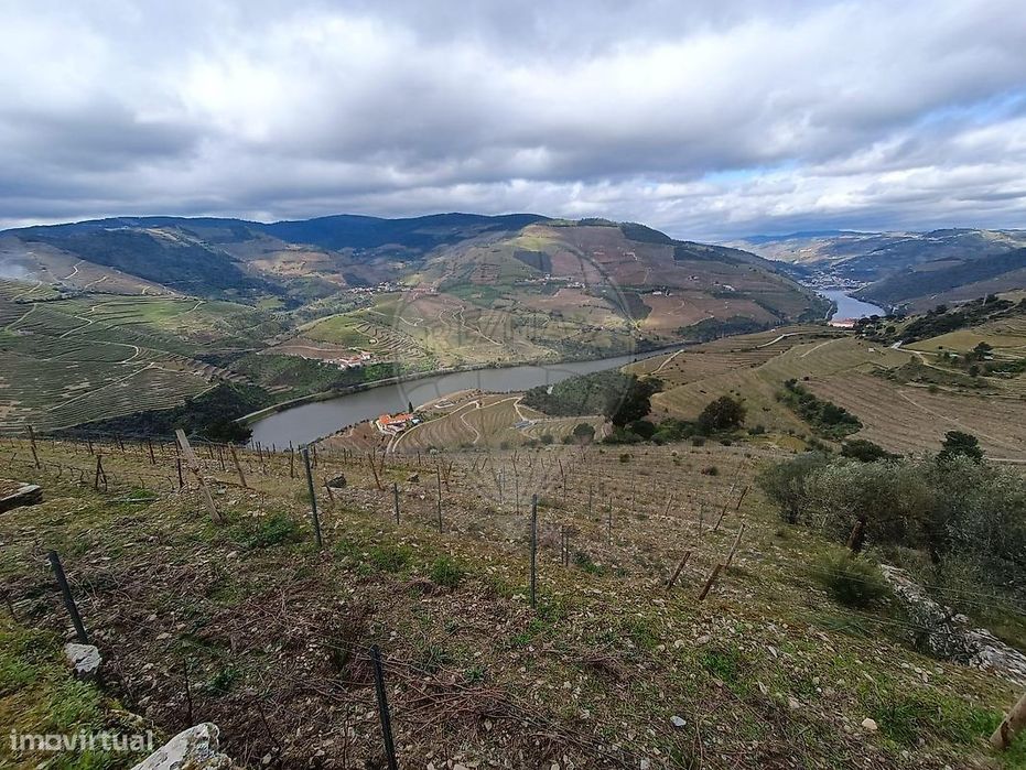 Terreno  para venda