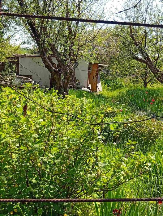 Продам дачу в  Гарьевке.пгт. Златопиль