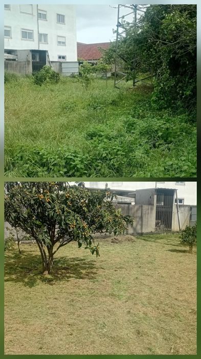 Serviço de limpeza de terrenos/ jardinagem
