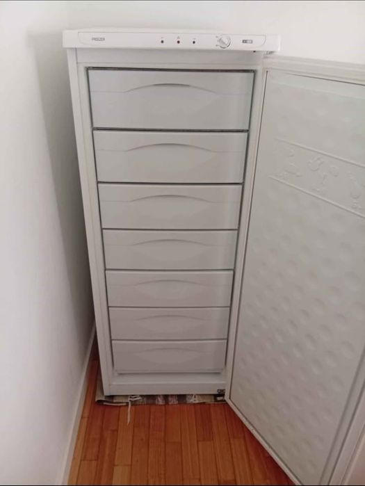 Arca congeladora vertical