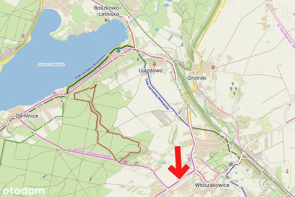 Mieszkanie z garażem i ogrodem - Włoszakowice, Wolsztyńska