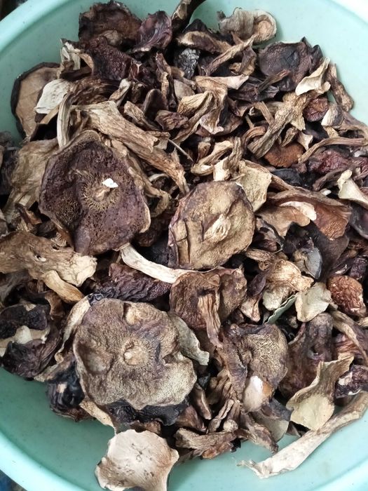 suszone borowiki krajanka CZYSTE