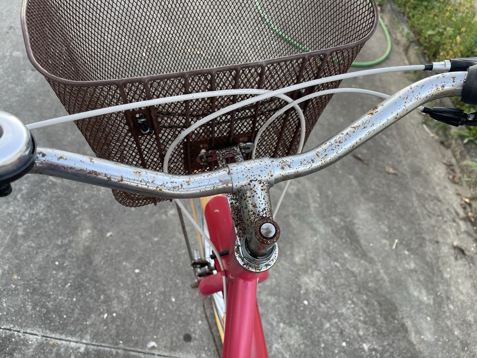 Bicicleta pasteleira - Decathlon