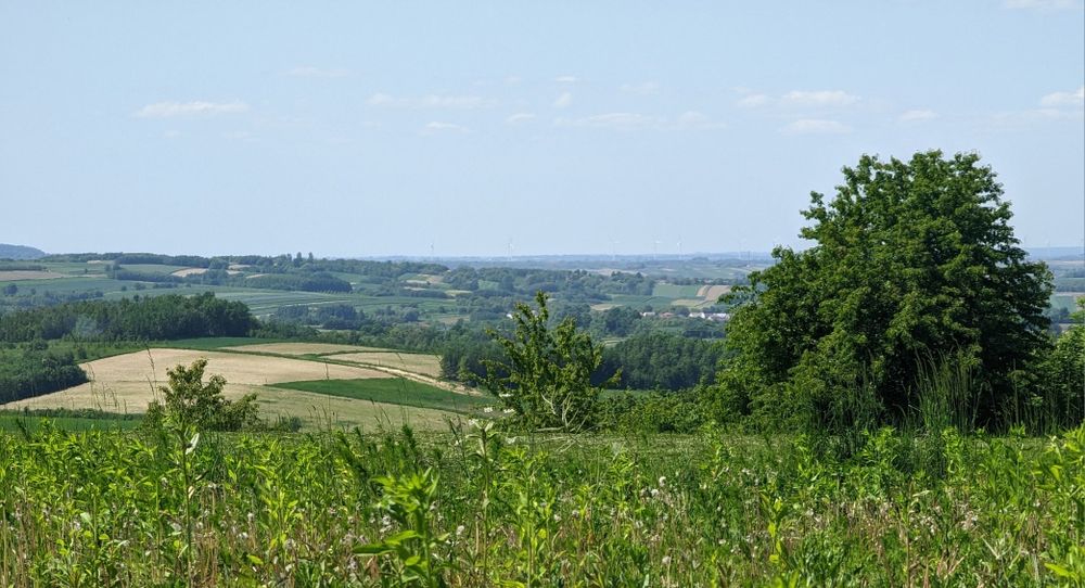 Piękna budowlana działka widokowa w Pruchniku - Widok 6