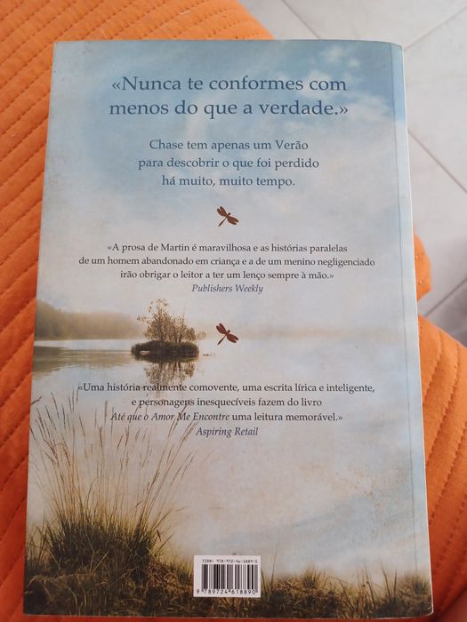 Até que o amor me encontre