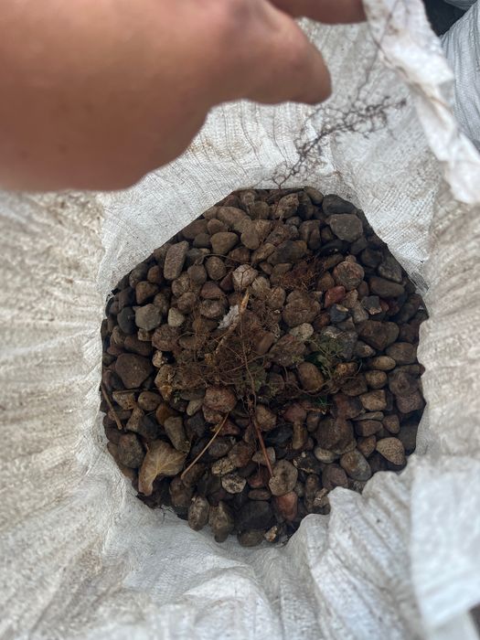 Kamień polny płukany otaczak około 1500kg