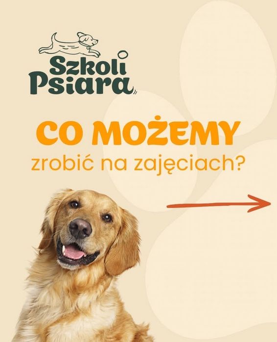 Zajecia dla psów i ich przewodników