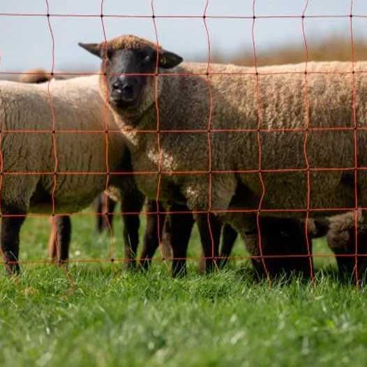 Rede cerca elétrica KB 90 espigão duplo (50mt)