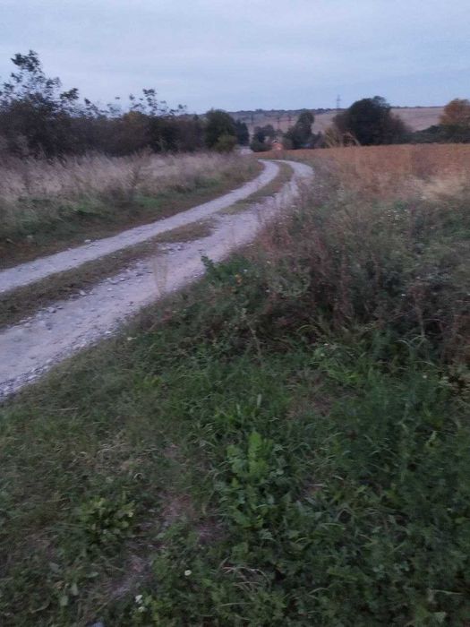 Ділянка під Забудову  Шумівці Н