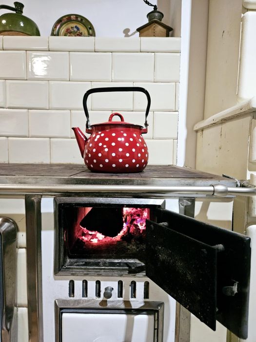 Domek wakacyjny. Dom, domek w lesie. Hetmanów koło Ostrowa Wlkp,