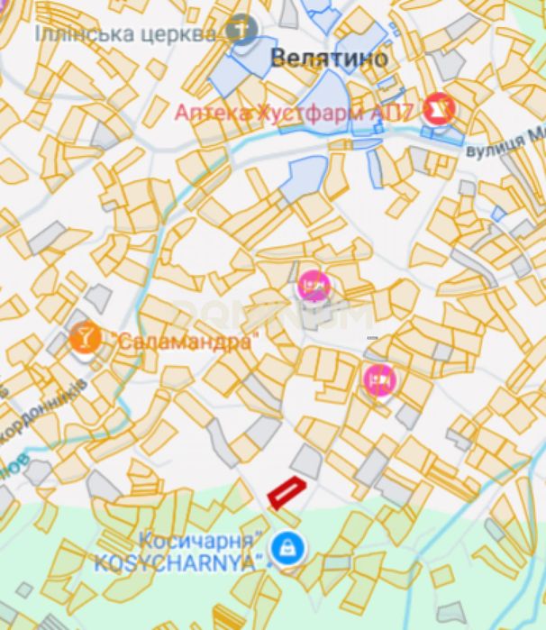 Продаж .Земля сільгосппризначення .Велятино.