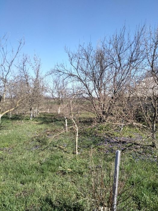 Продам будинок в селі Тополі Козелецького району Чернігівської області