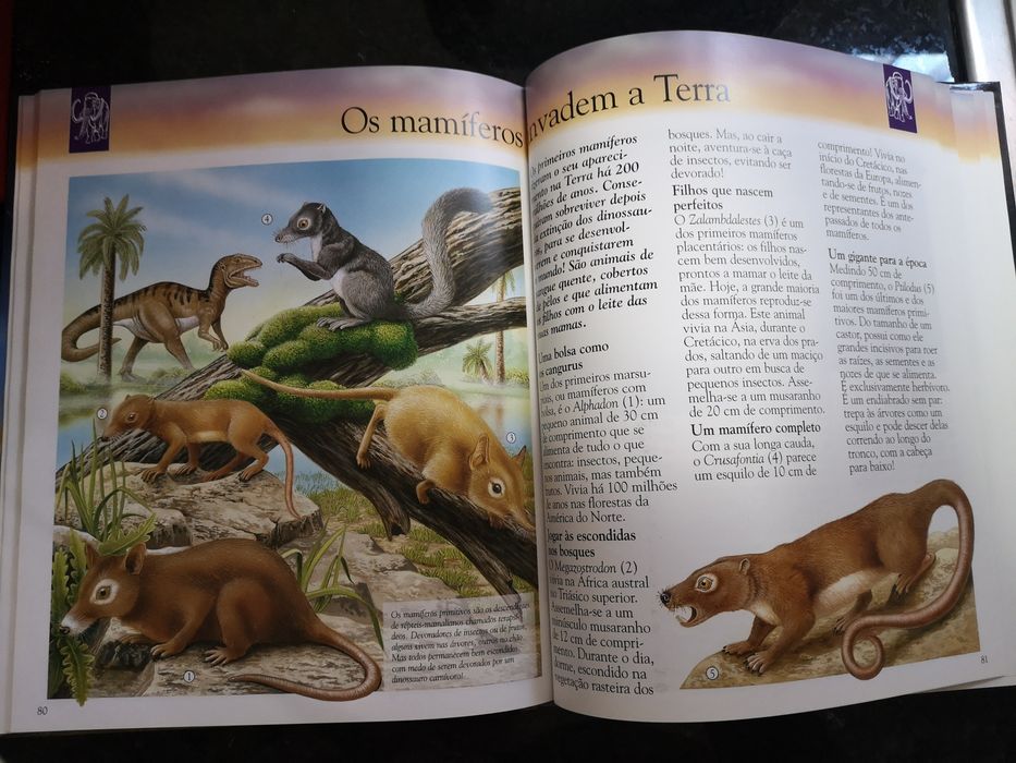 Livro dinossauros e animais desaparecidos