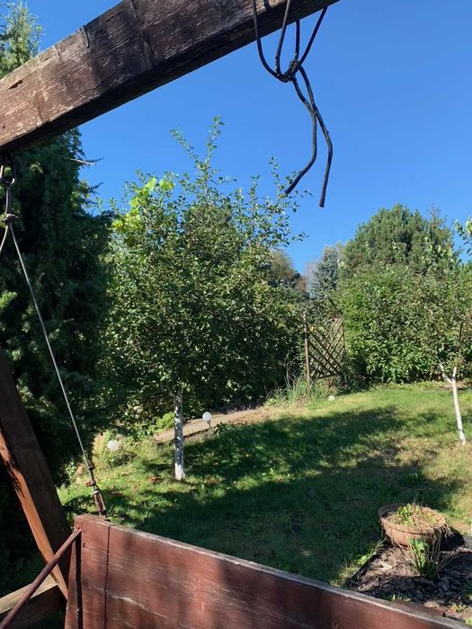 Sprzedam duży ogródek działkowy 485m² – ROD im. Tadeusza Kościuszko