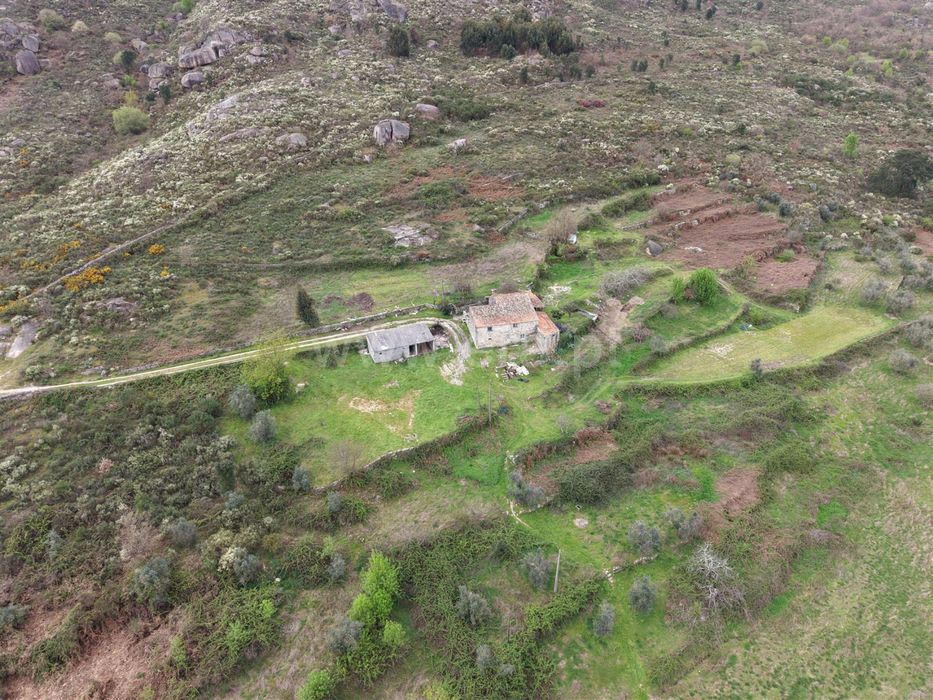 Descubra esta encantadora quinta situada na tranquila aldeia da Muxagata, no concelho de Fornos de Algodres