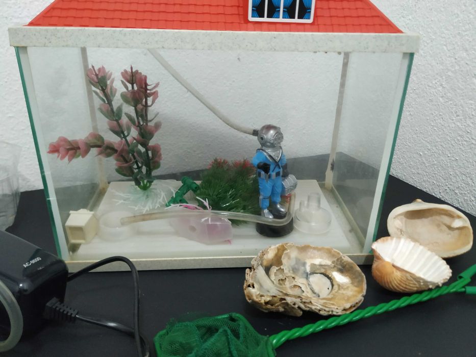 Aquário com 5L de capacidade