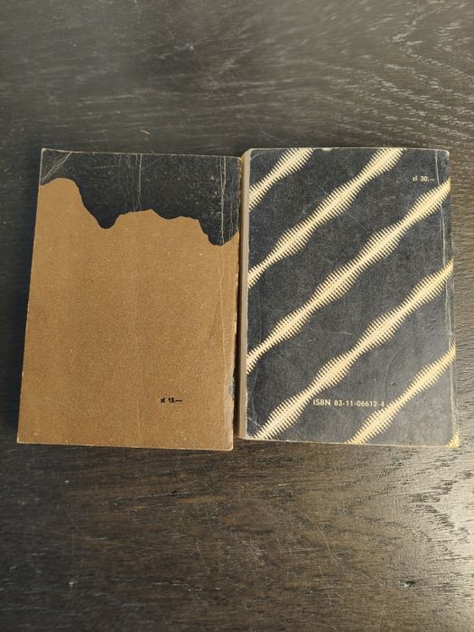 Zestaw książek z cyklu labirynt ⁸²