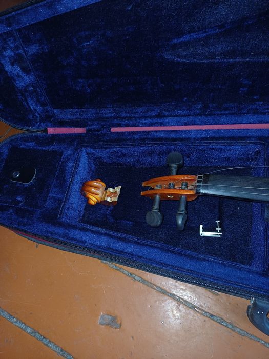 Скрипка  в чохлі