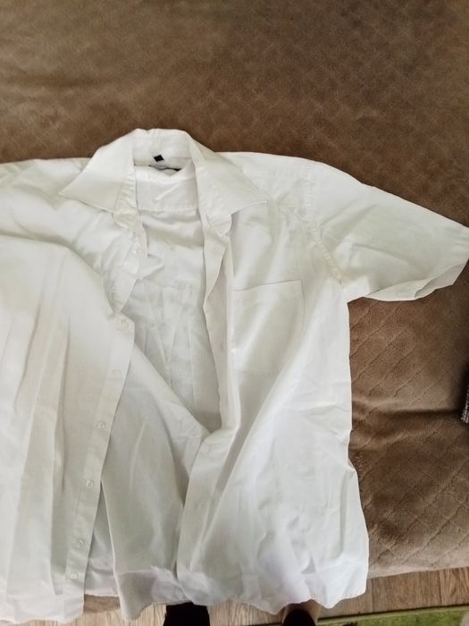 Чоловічі сорочки безкоштовно