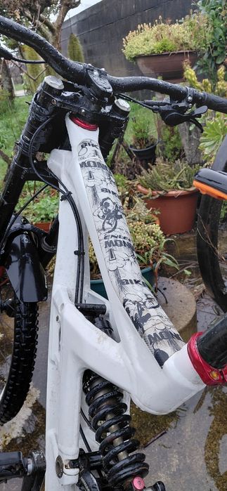 Scott gambler dh20