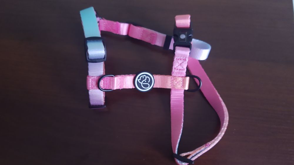 Шлея анатомічна для собак