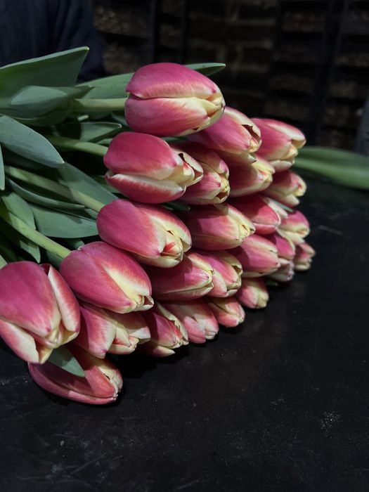 Пропоную тюльпан на гурт до свят -14.02 та 08.03