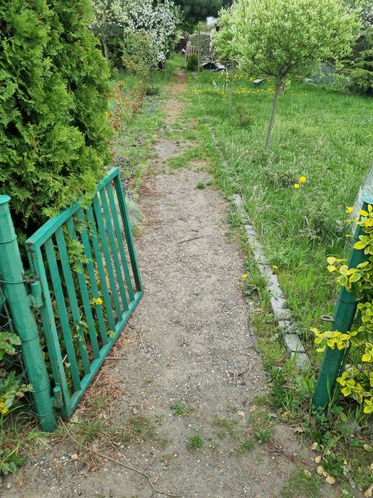 Działka ROD Bajki, Kolonia: Narcyzy - Sztabowa
