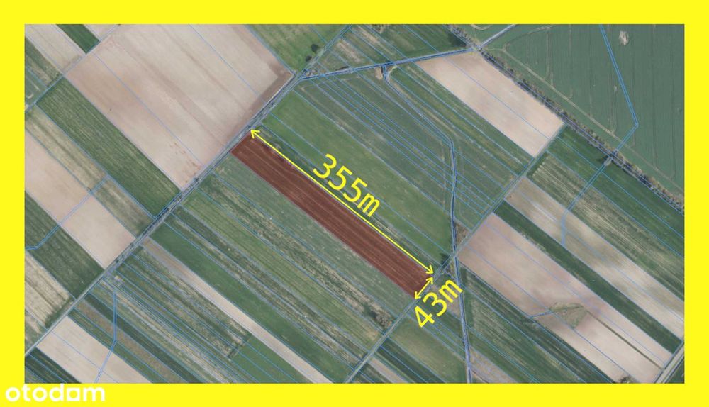 Działka rolna 1,55 ha w Żabcach, regularny kształt, Blisko A2 i s19