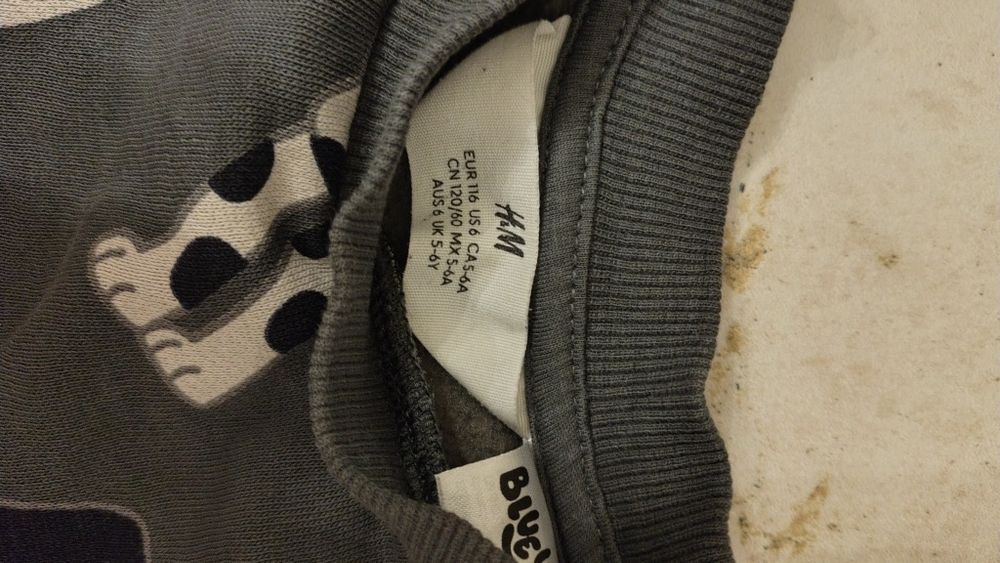 Bluzy chłopięce H&M, Champion, Fabryka bodziakow, Minoti 104-110