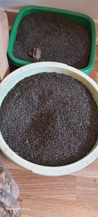 Aquário panorâmico e respectivos acessórios.