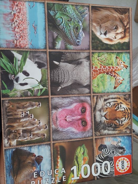 Puzzle animais .