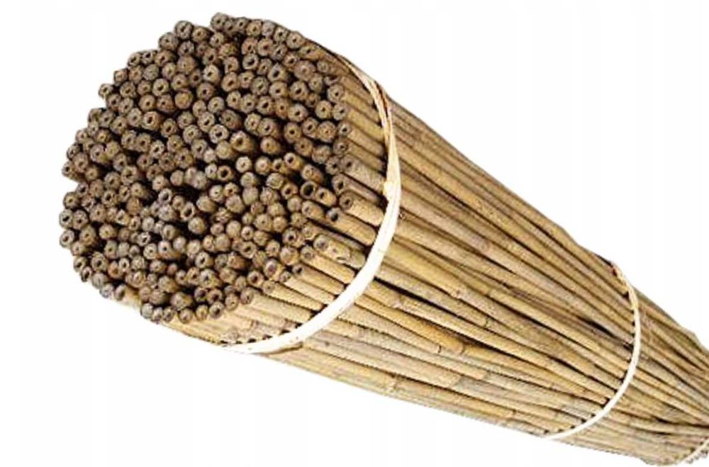 Tyczki drabinki podpory BAMBUSOWE TYCZKA DRABNKA PODPORA bambus