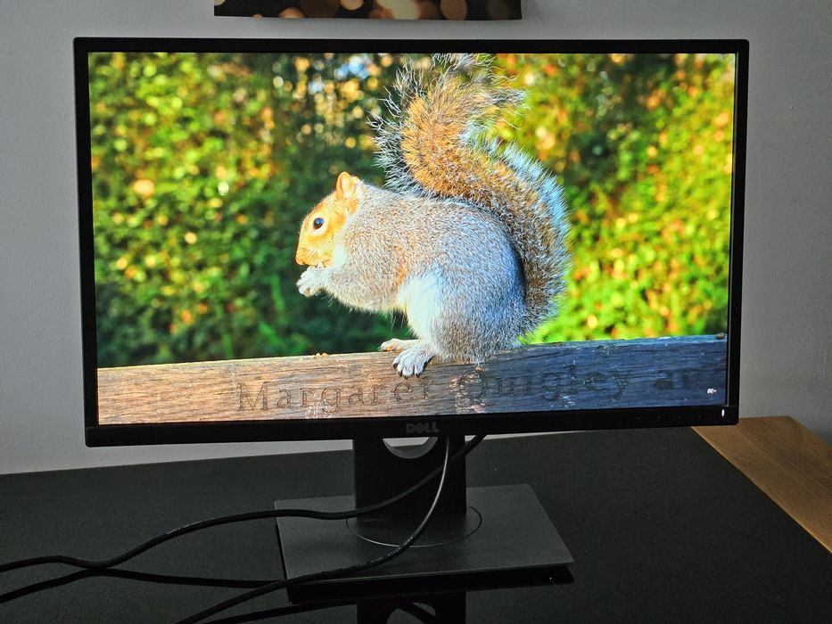 Monitor Dell P2417H