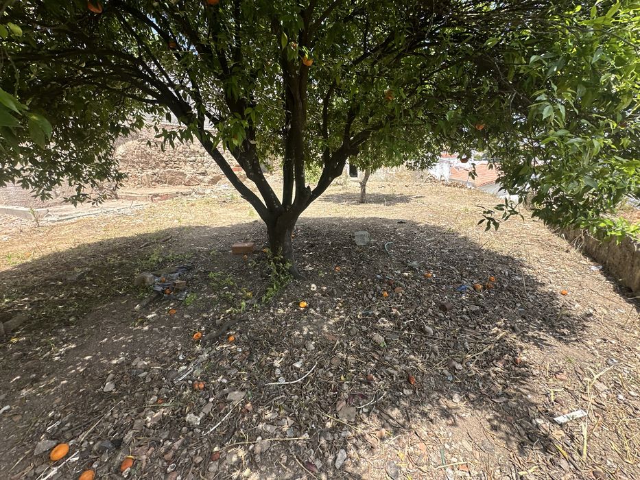 Limpeza/demolições de terrenos e lavagem/ impermabilização Telhados