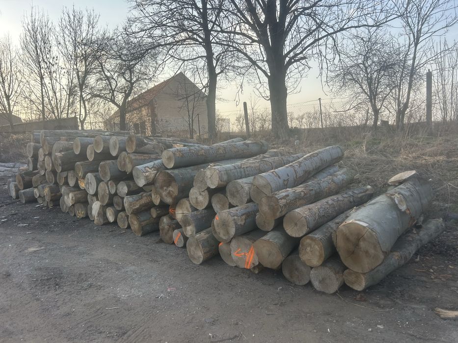 Drewno opałowe kominkowe