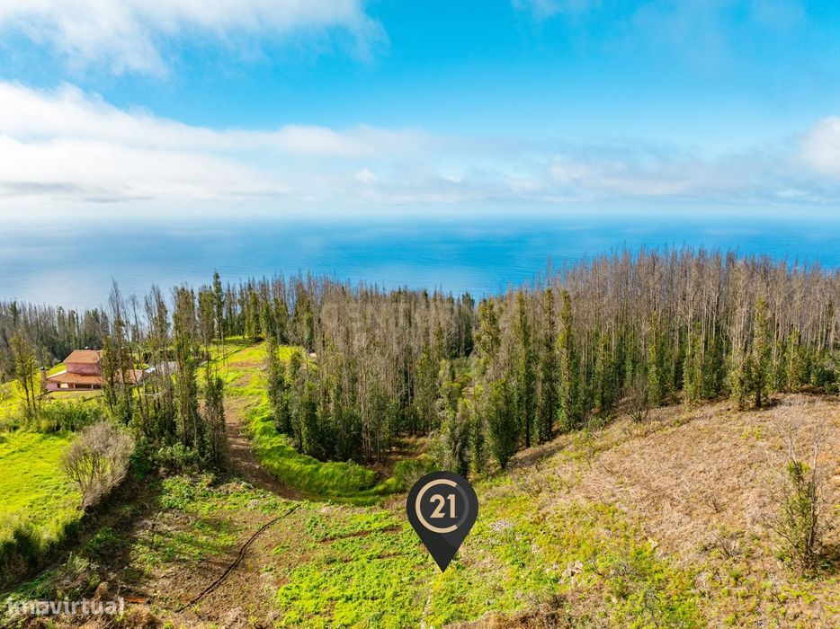Terreno de 2.500 m² para Construção - Achadas da Cruz, Porto Moniz